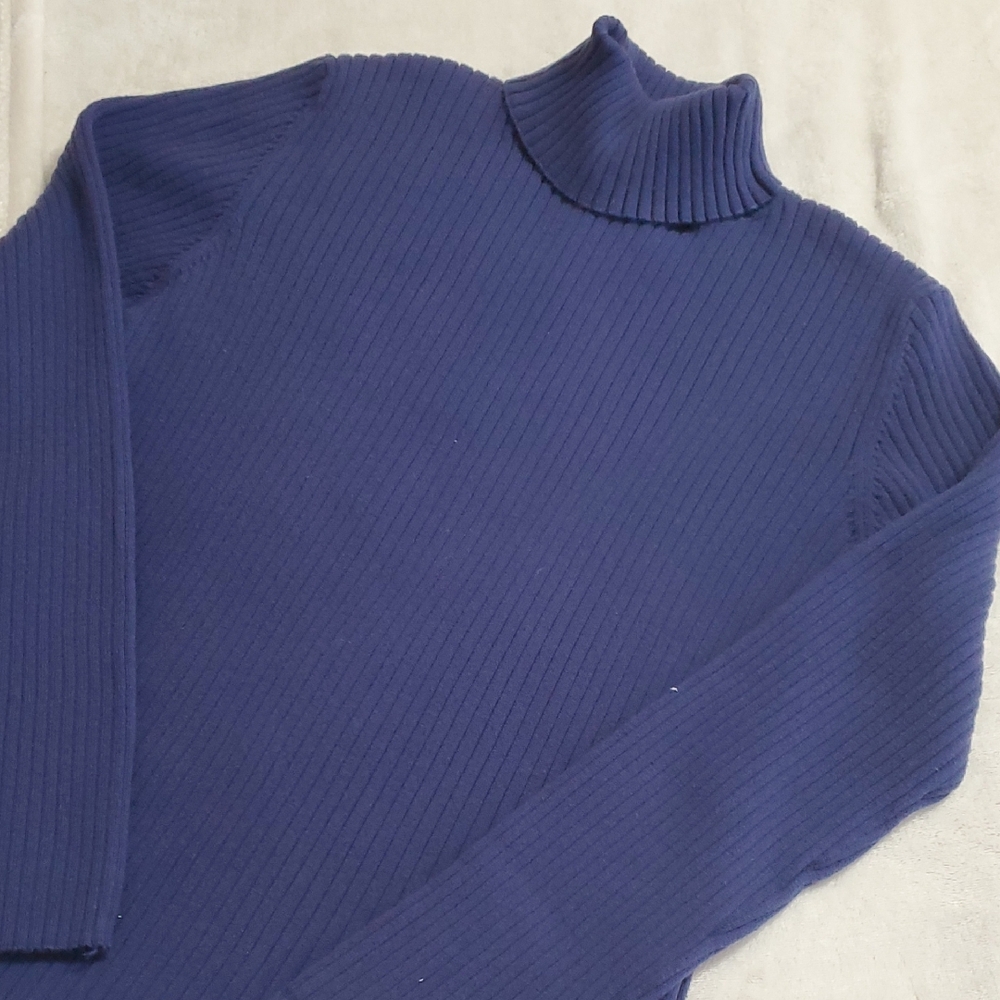 Chadwicks Women's Deep Blue Ribbed Turtleneck XL